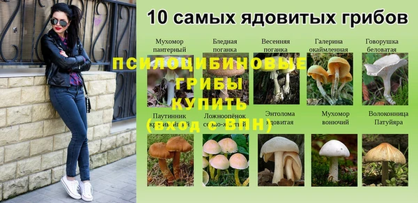 apvp Баксан